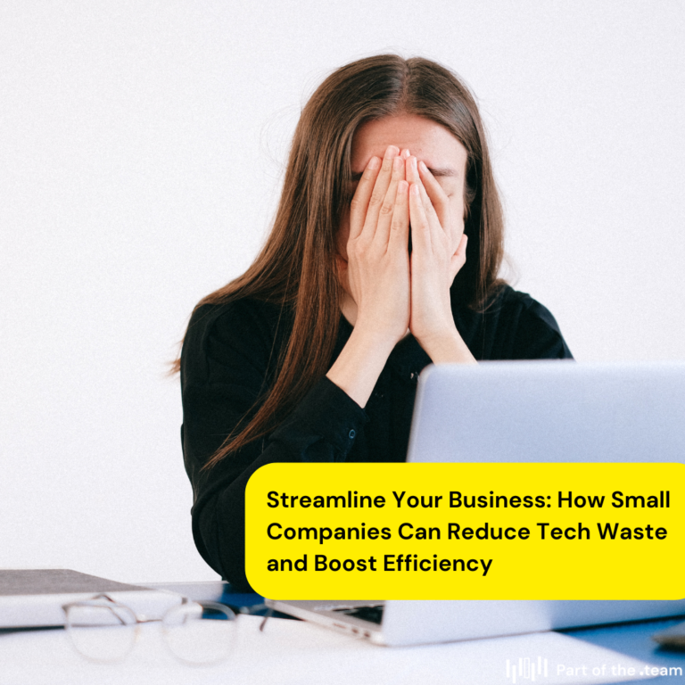 Streamline Your Business: How Small Companies Can Reduce Tech Waste and Boost Efficiency